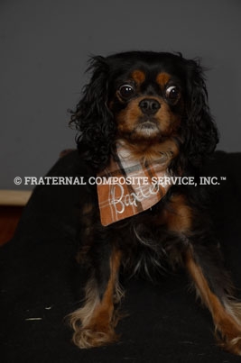 mascot-baxter_000522_